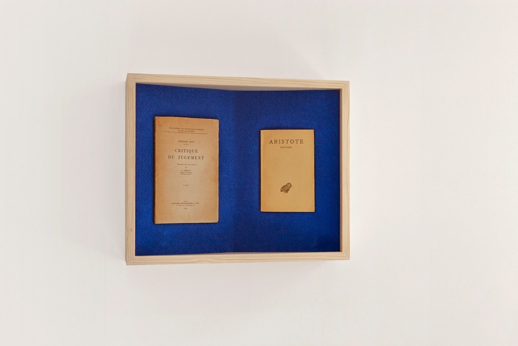 Kant&Aristote_Dieudonne_Cartier_12